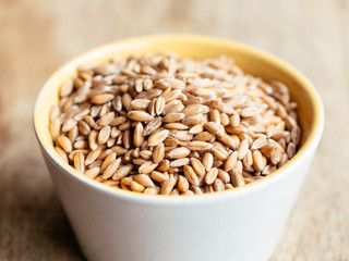 Spelt grains in a small bowl