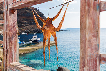 Fototapeta na wymiar Octopus drying on a rope