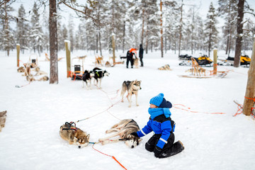Little girl with husky dog