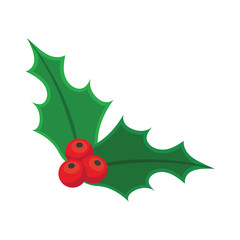 Holly berry Christmas