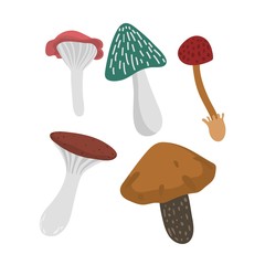 Mushrooms vector illustration set