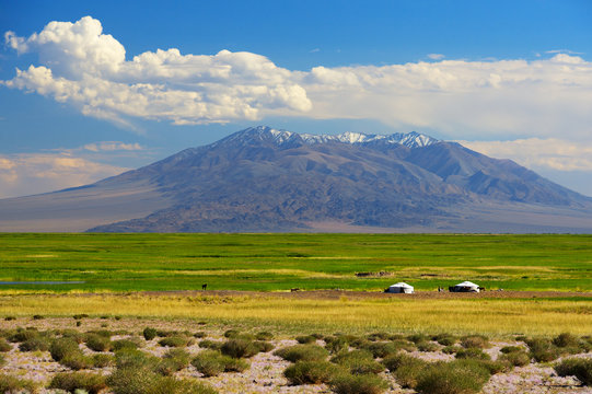 Mongolia landscape with nomad yurts