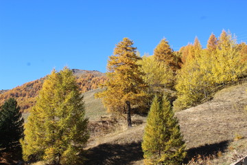 Fototapeta premium sestriere