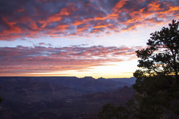 Fototapeta premium Grand Canyon Sunrise