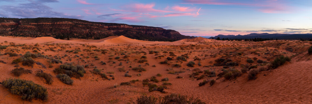 Coral Pink Sand Dunes State Park Utah