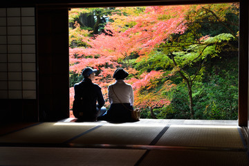 和室の縁側で紅葉見物するシニア夫婦