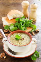 Kharcho soup of beef with walnuts and rice. Georgian cuisine.