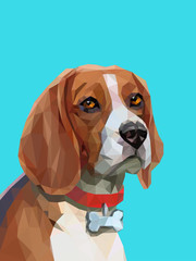 Low poly portrait of beagle dog.