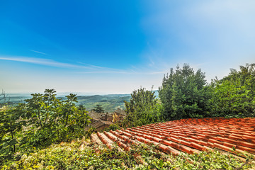 Fototapeta na wymiar old roofs in Tuscany