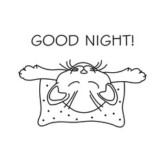 Cat sleeping on a pillow