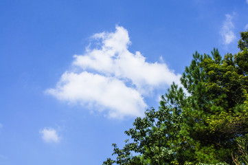 Obraz premium The mountains scenery with blue sky