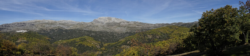 Fototapeta na wymiar panorámica del valle del Genal en la provincia de Málaga
