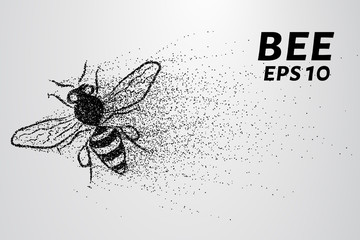 Bee of the particles. The bee consists of small circles and dots. Vector illustration