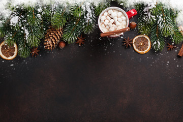 Fototapeta na wymiar Christmas background with hot chocolate and marshmallow