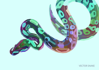 Cool varicoloured poster with lowpoly anaconda.