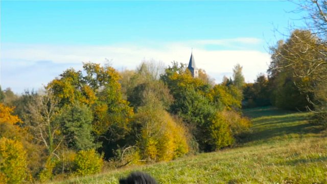 Slow Motion: Dog Jumping In Autumn, Sunny Day For Walking