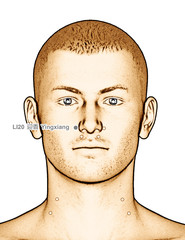 Drawing Acupuncture Point LI20 Yingxiang, 3D Illustration