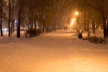 Winter night snow falls in the park