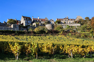 Fototapeta na wymiar Vignoble de Bourgogne à Vézelay