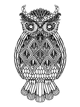 Hand drawn owl with white background, for coloring book