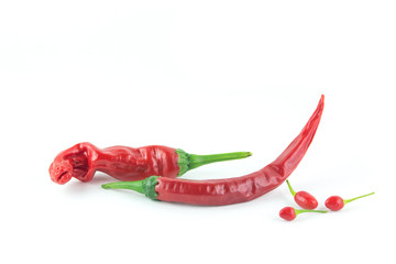 Diversi tipi di peperoncini rossi su sfondo bianco © Lunipa