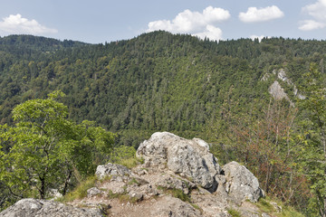 Fototapeta na wymiar View over Julian Alps from mountain Osojnica in Bled