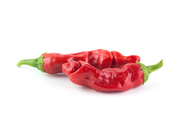 Coppia di peperoncini rossi