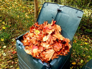 Compost bin full of autumn leaves to provide leaf mulch