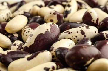 White haricot beans isolated