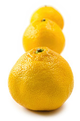 three orange mandarin isolated