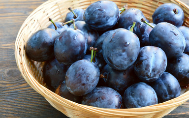 Many fresh Plums or Zwetschge and cut can see the seed in basket on wooden floor.