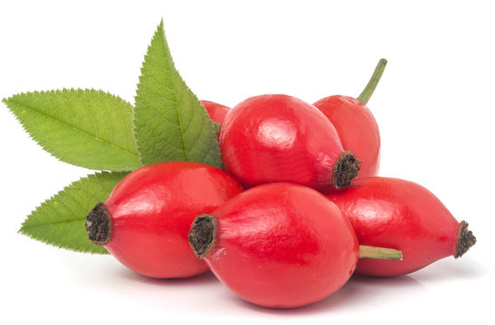 rose hip berry with leaves isolated on white background