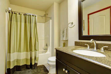 Clean bathroom interior in green and brown tones.