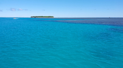 Lady Musgrave Island