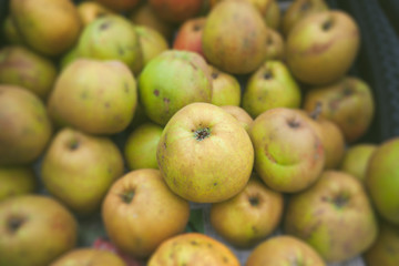 Green apples in a stack in autumn