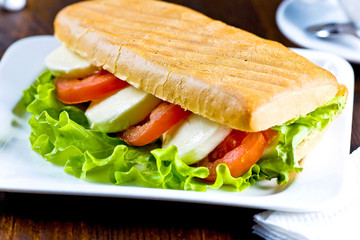 Sandwich with mozzarella and tomatoes