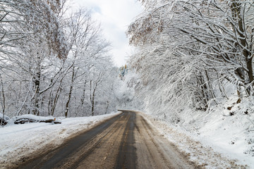 Snowy winter road