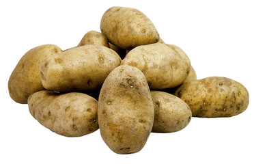 Pile of Russet Potatoes