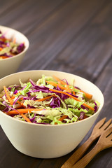 Fresh coleslaw, a salad made of shredded red and white cabbage and carrots, served in white bowls, photographed with natural light (Selective Focus, Focus in the middle of the salad)