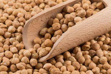 chick pea on white background