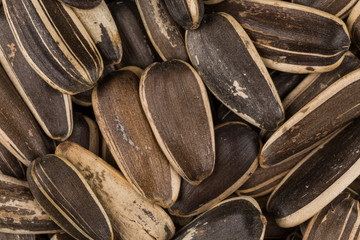 sunflower seeds pile