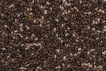 Chia seeds closeup