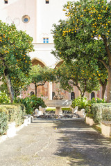 Obraz premium the cloister of Santa Chiara monastery, Naples, Italy 