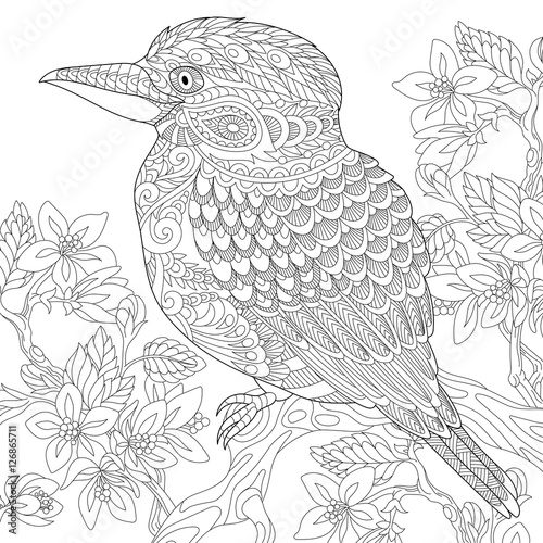 australian bird coloring pages - photo #33