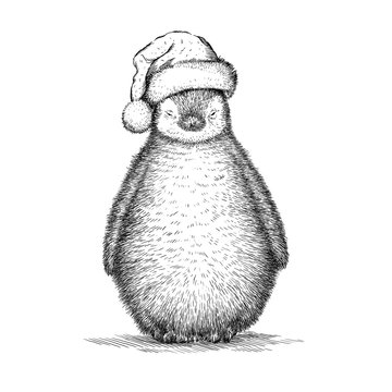 penguin, black and white engrave. Christmas hat.