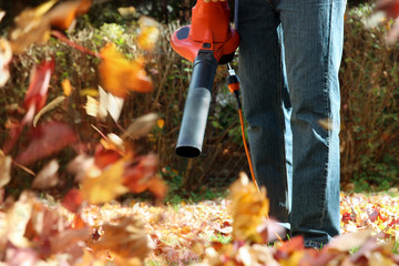 Man working with  leaf blower: the leaves are being swirled up a