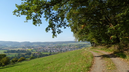 Obraz premium Aussichtsreicher Herbst Spaziergang am Waldrand
