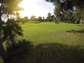 Fototapeta premium Green golf course early morning