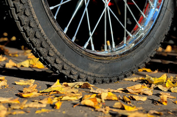 Fototapeta premium Wheel of a bicycle on the pavement