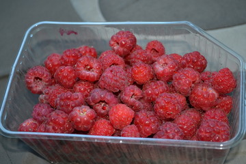 raspberries
